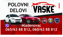 CAR PARTS AND SERVICE VASKE Mladenovac