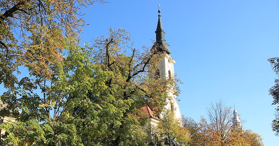 Tajna apatinske Crne Bogorodice