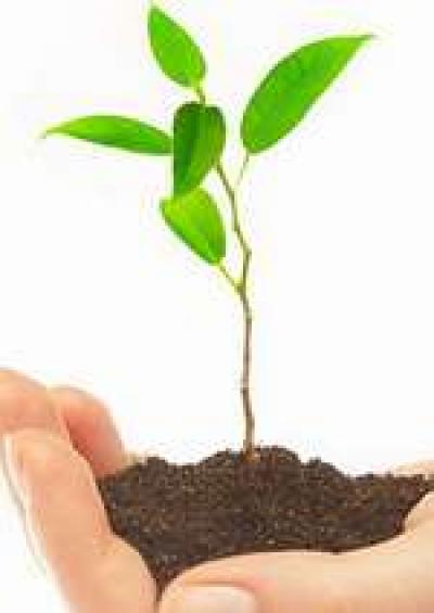 Hamiša Asar Bišvat - Tubišvat