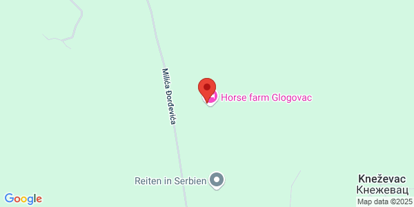 SEOSKO DOMAĆINSTVO GLOGOVAC, Spasoja Kosanića 7, Kamenica