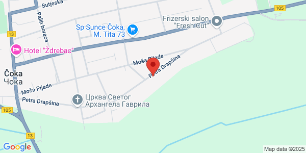 VETERINARY CLINIC DOKI VET, 70 Petra Drapsina st., Coka