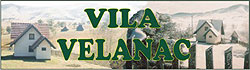 VILA VELANAC Zlatibor - Slika logo