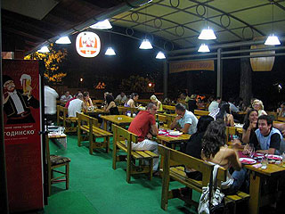 DOMESTIC CUISINE RESTAURANT POTOK Restaurants Jagodina - Photo 3