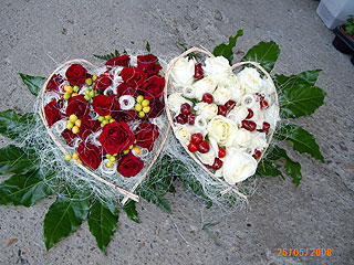 LOTOS Cveće i cvećare Despotovac - Slika 2