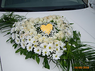 LOTOS Despotovac - Photo 8