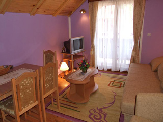 HOUSE FOR REST AND MALISEVAC APARTMENTS Tara - Photo 3