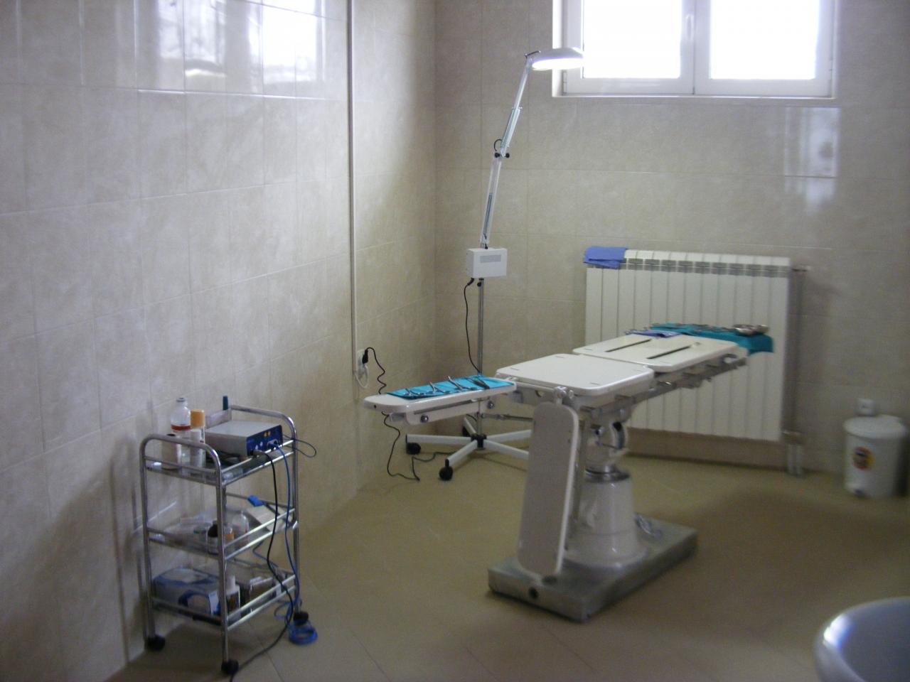 Slika 6 - ĐURA - VET D.O.O. VETERINARSKA STANICA - Veterinari, veterinarske ambulante, veterinarske apoteke, Leskovac