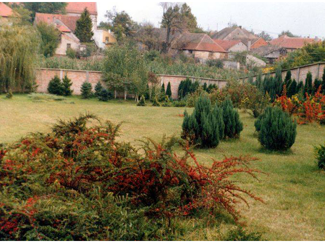Photo 2 - RASADNIK EDEN - Landscape Architecture, garden decoration, Zrenjanin