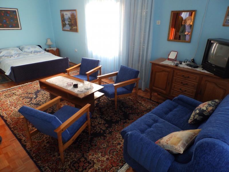PRIVATE ACCOMMODATION JOVANKE JAREDIC Private accommodation Donji Milanovac - Photo 6