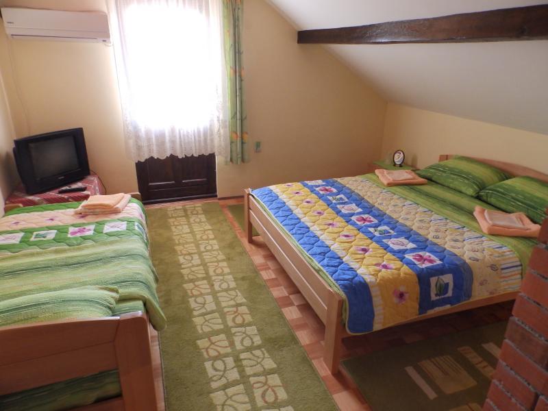 PRIVATE ACCOMMODATION JOVANKE JAREDIC Accommodation Donji Milanovac - Photo 9