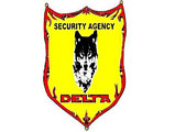 DELTA SECURITY Vrsac - Photo logo