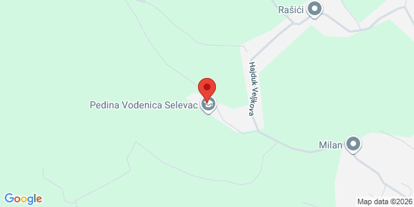 ETNO RESTORAN PEDINA VODENICA, Cara Dušana 29, Selevac