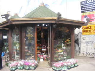 FLOWER SHOP 101 ROSE Flowers and flower shops Pancevo - Photo 1