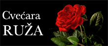 FLOWER SHOP RUZA Sremska Mitrovica - Photo logo 