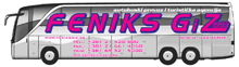 FENIKS GiZ - DOO JAZOVNIK Novi Sad - Slika logo 