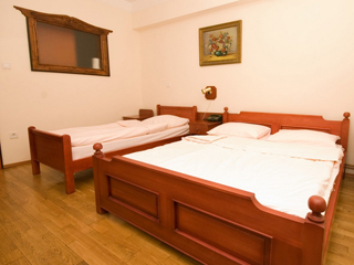 HOTEL RESTORAN DUNAV Hoteli Sremski Karlovci - Slika 8