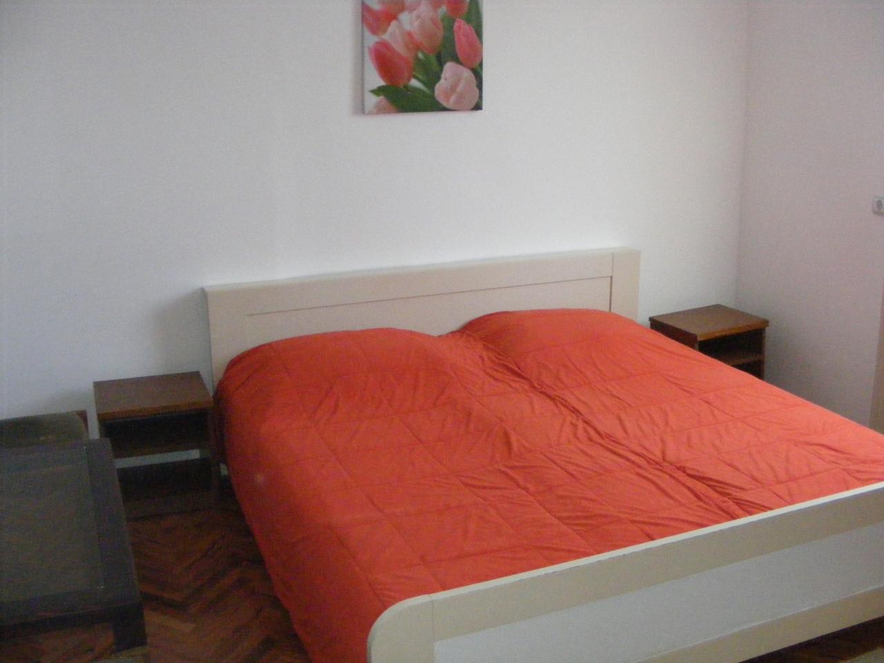 PRIVATE ACCOMMODATION RADONIC Private accommodation Niska Banja - Photo 3