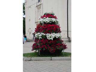 ZIVIC DESIGN Seed plots, garden decoration Smederevo - Photo 3