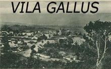 VILA GALLUS Gornji Milanovac - Photo logo