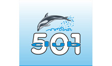 KLUB 501 NEGOTIN Negotin - Slika logo 