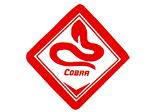 AUTO SERVIS COBRA RIV Gornji Milanovac