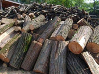 GILE KOMERC - ORTAČKA RADNJA Drvna industrija Knjaževac - Slika 7
