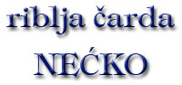 ČARDA NEĆKO Novi Sad - Slika logo 