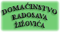 DOMACINSTVO RADOSAVA ZIZOVICA Gornji Milanovac - Photo logo 