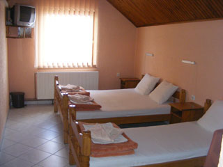 VILLA ALEXANDAR Private accommodation Palic - Photo 6