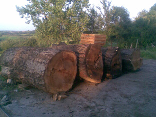 STRUGARA TIMBER Drvna industrija Topola - Slika 2