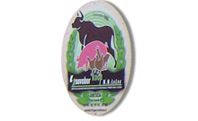 SUVOBOR-KOOP NN LLC Cacak - Photo logo 