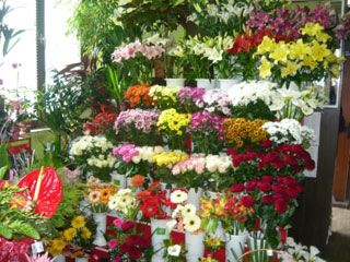 FLOWER SHOP MAJA Flowers and flower shops Uzice - Photo 3