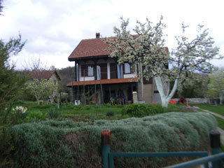 HOUSEHOLD STOJCIC Private accommodation Brestovacka banja - Photo 3