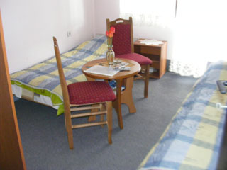 HOUSEHOLD STOJCIC Private accommodation Brestovacka banja - Photo 5