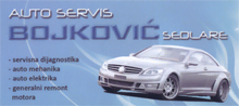 CAR SERVICE BOJKOVIC Svilajnac - Photo logo