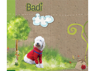 CLOTHES FOR DOGS - BADI - DOG FASHION Sremska Mitrovica - Photo 1
