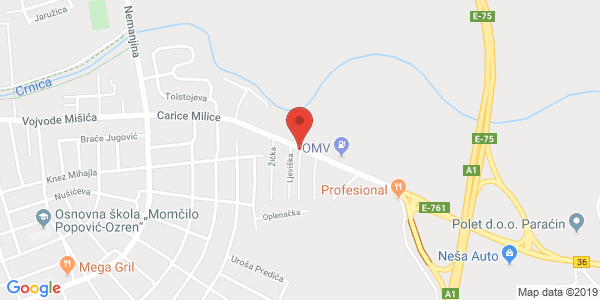 VIDIJA SERVICE, 63 Carice Milice st, Paracin