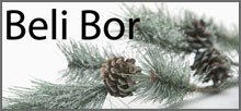 BELI BOR Ivanjica - Photo logo