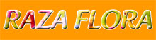 RAZA FLORA Arilje - Photo logo