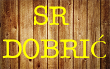 SR DOBRIC Zrenjanin - Photo logo