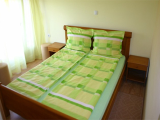 VILA UBAVIC Private accommodation Banja Vrujci - Photo 2