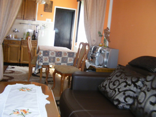 ACCOMMODATION NENADIC PRODUCTION AND SALES OF RASPBERRY Countryside, country tourism Arilje - Photo 3