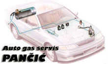 AUTO GAS SERVIS PANČIĆ Negotin - Slika logo 