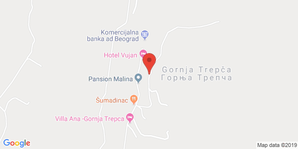 VILA ZLATA, Gornja Trepča bb