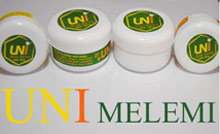 UNI MELEMI Užice - Slika logo 