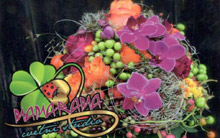 FLOWER SHOP MAMARAMA Kragujevac - Photo logo 