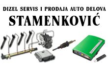DIESEL SERVICE AND SALES AUTO PARTS STAMENKOVIC Vrsac - Photo logo
