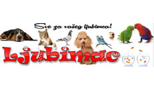 PET SHOP LJUBIMAC 023 Zrenjanin - Slika logo 