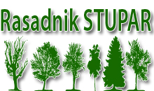 RASADNIK STUPAR Požarevac