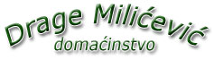HOUSEHOLD DRAGA MILICEVIC Ivanjica - Photo logo 